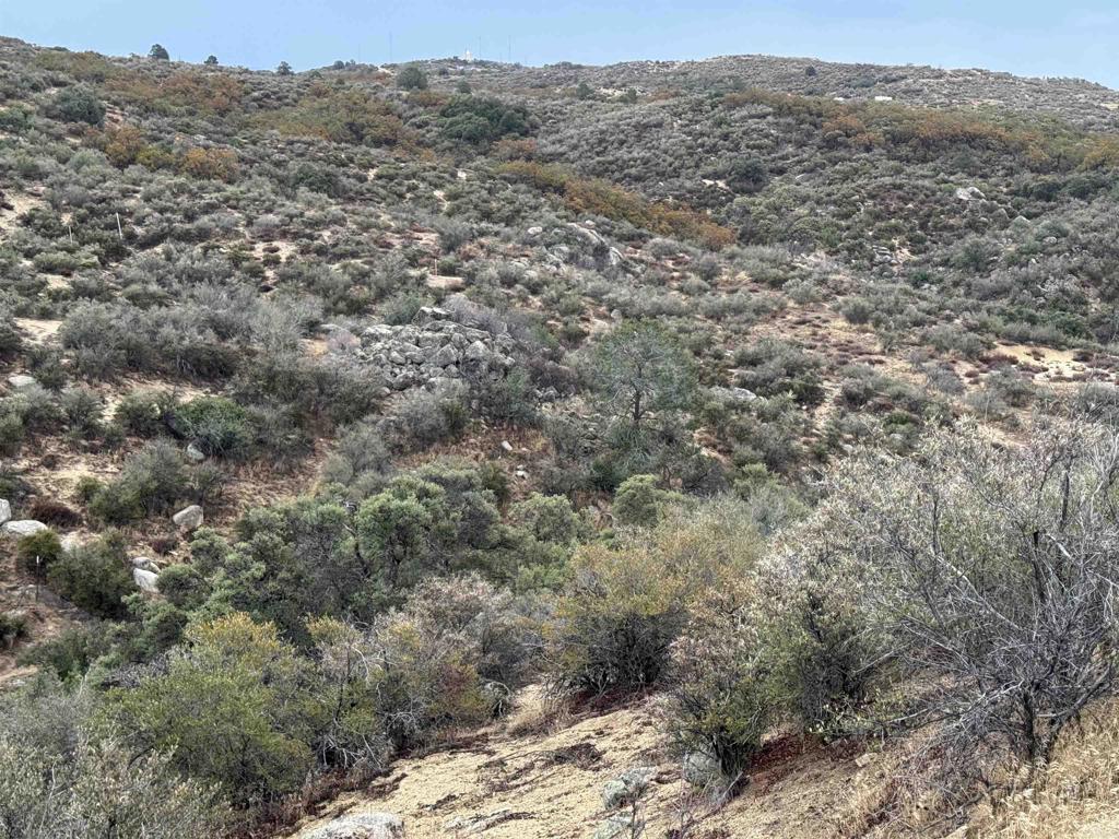 59775 Moonshine Trail Anza, CA 92539 - Photo 15 of 15