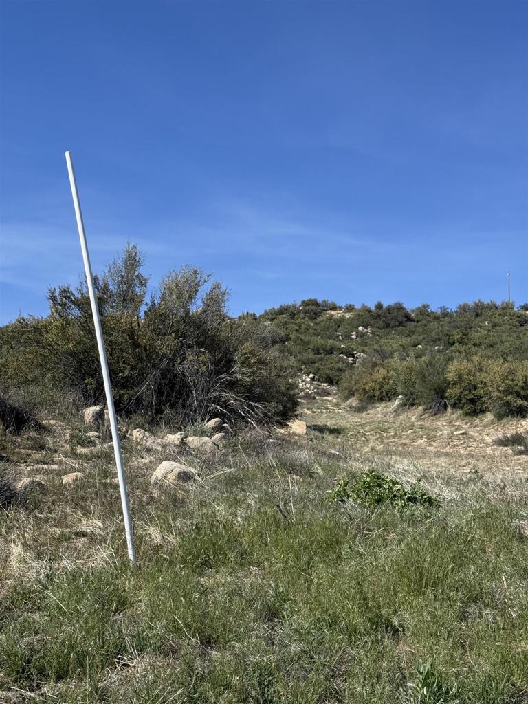 59775 Moonshine Trail Anza, CA 92539 - Photo 3 of 15 a view of a dry yard with trees