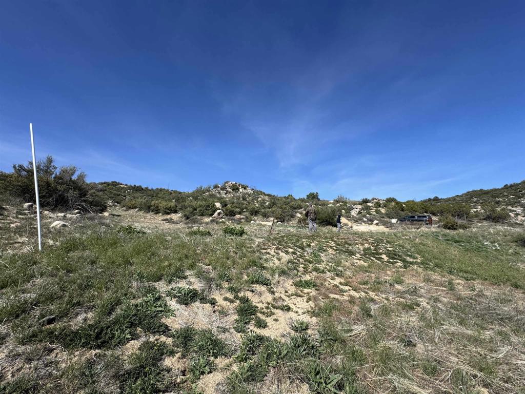 59775 Moonshine Trail Anza, CA 92539 - Photo 4 of 15 a view of a mountain range with trees in the background