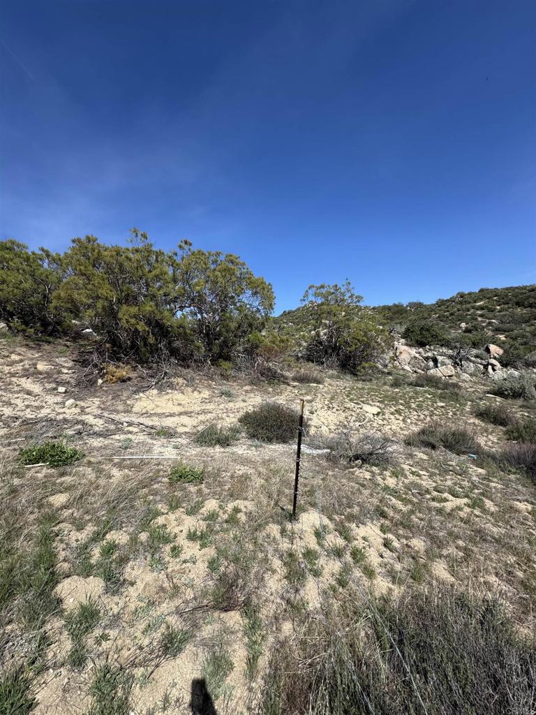 59775 Moonshine Trail Anza, CA 92539 - Photo 6 of 15 a view of a dry yard with mountain