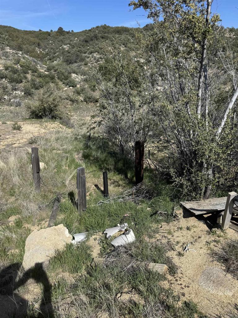 59775 Moonshine Trail Anza, CA 92539 - Photo 8 of 15 a view of a backyard with plants and a view of mountains