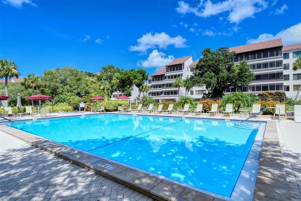 6287 Midnight Pass Road, Unit 103 Sarasota, FL 34242 - Photo 23 of 36 a view of a swimming pool with an outdoor seating and a garden