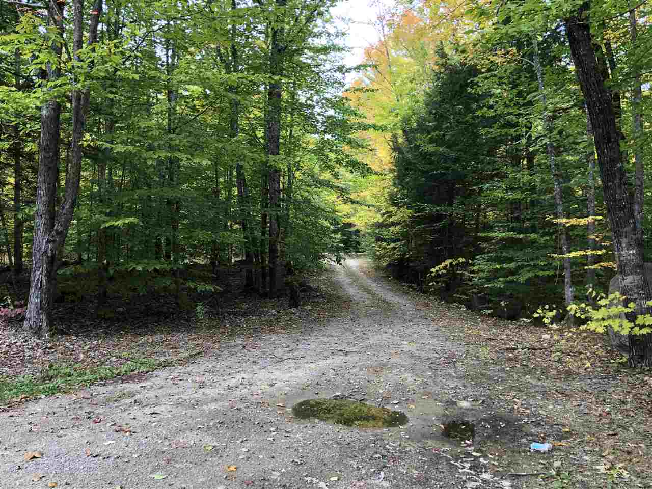 966 North Division Road Madison, NH 03875 - Photo 3 of 10 Gallery Image 3