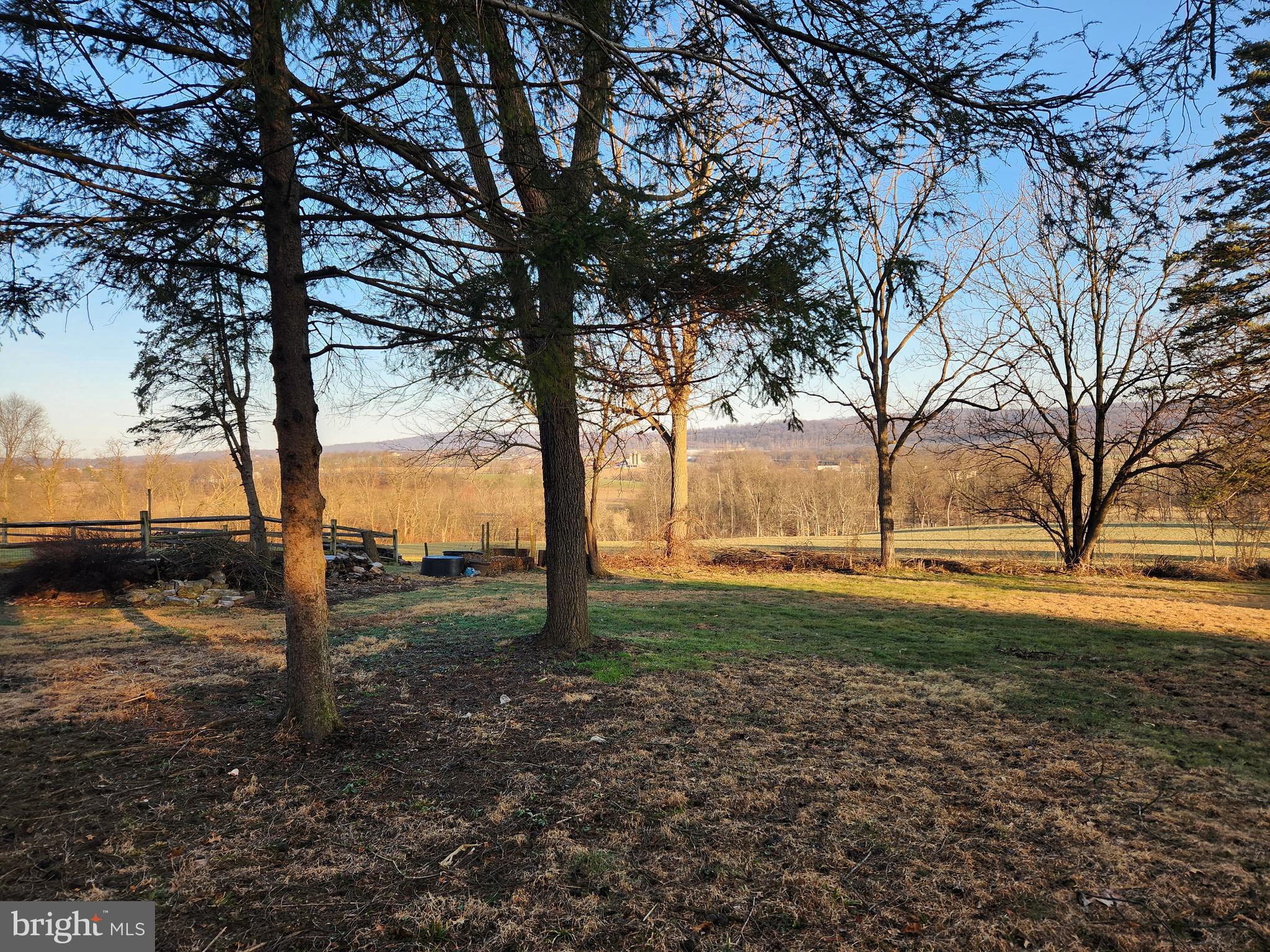 3734 Elizabethtown Road Manheim, PA 17545 - Photo 9 of 34 a view of dirt yard with a tree