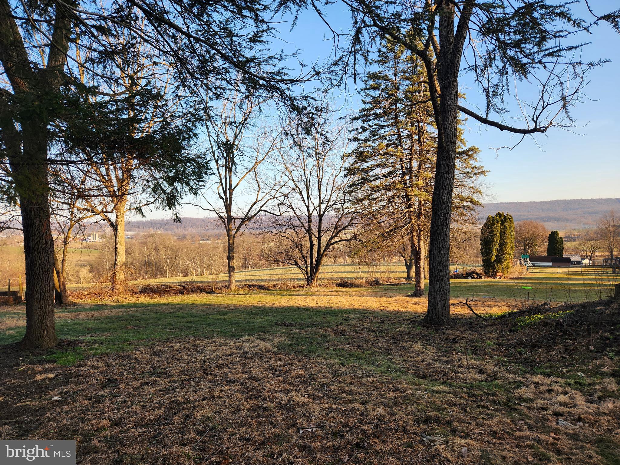 3734 Elizabethtown Road Manheim, PA 17545 - Photo 10 of 34 a view of a yard with an trees