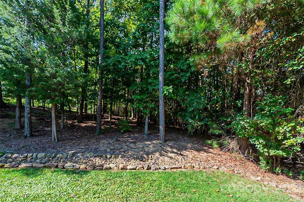 17013 Turtle Point Road Charlotte, NC 28278 - Photo 21 of 23 Gallery Image 21