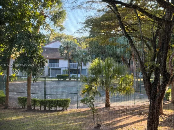 a view of park with large trees
