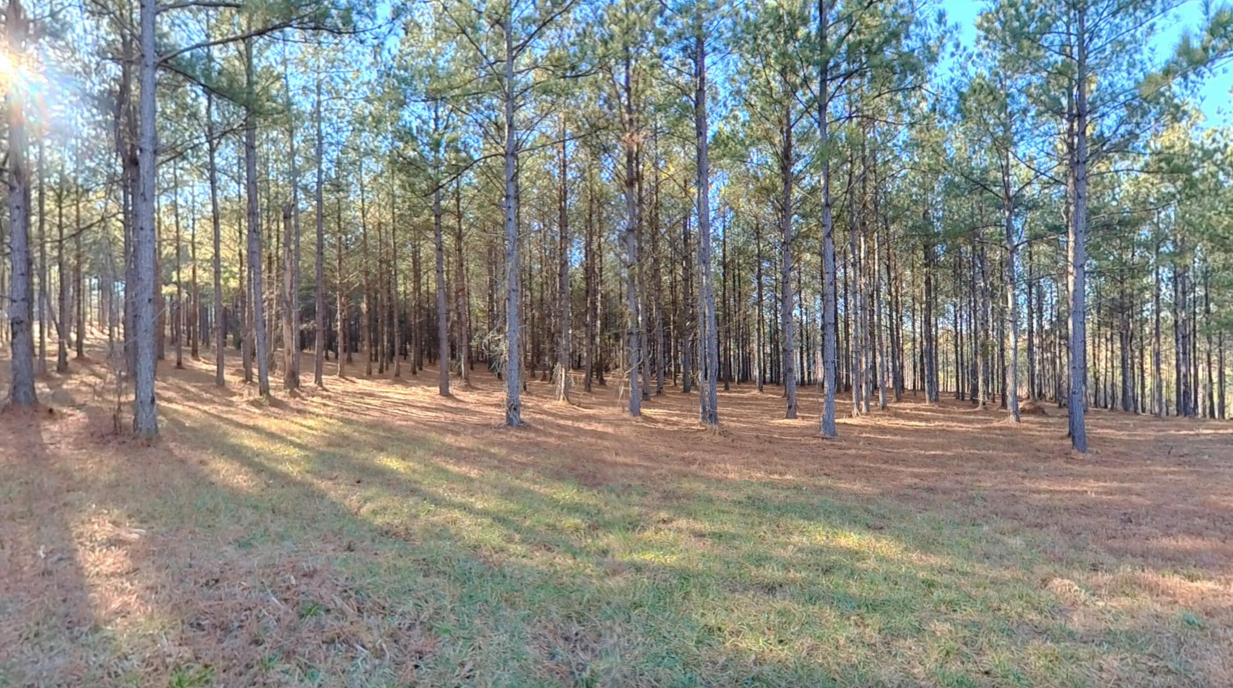 LOT #3