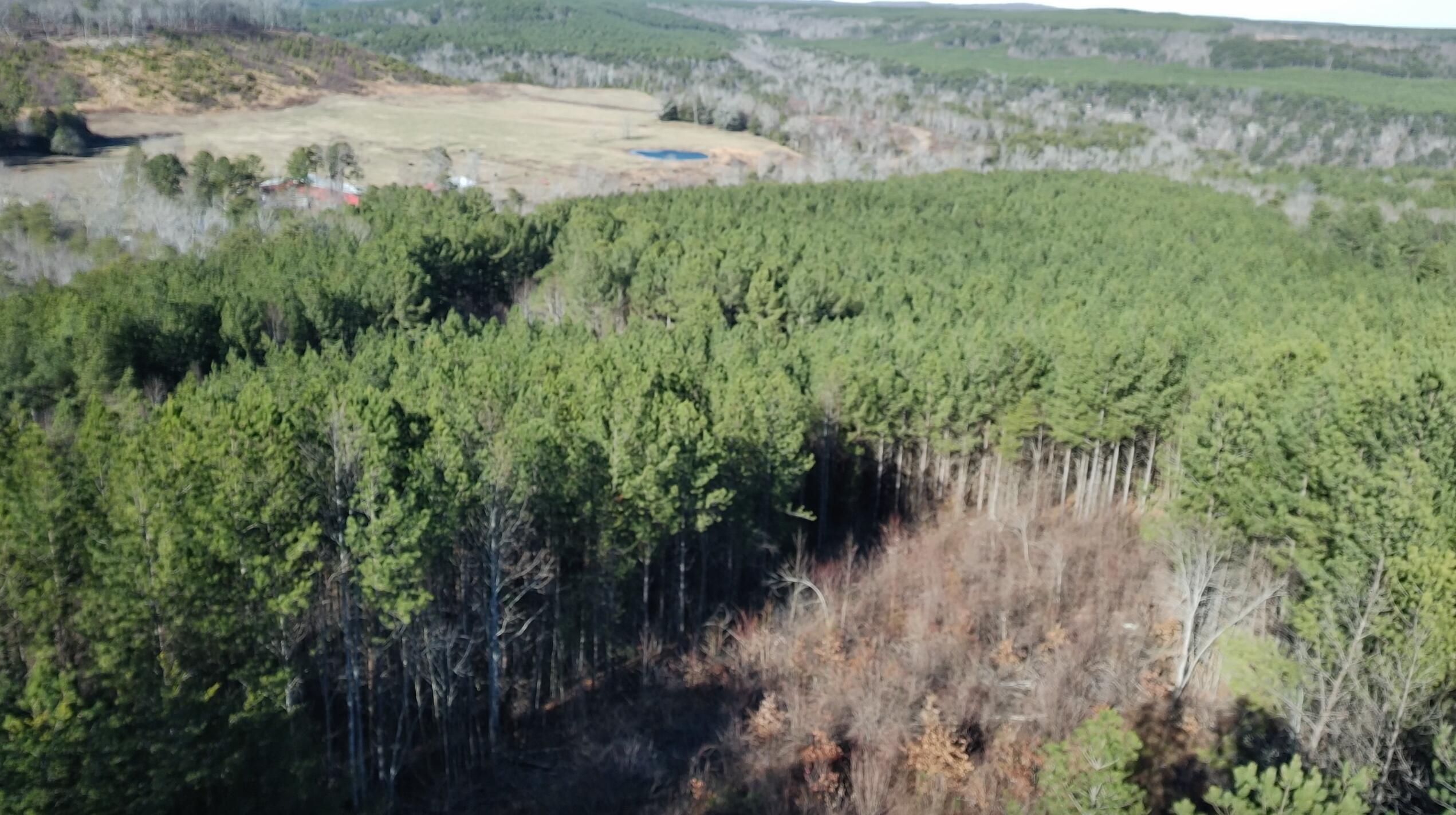 0 Three Gorges Road, Unit LOT 3 Soddy Daisy, TN 37379 - Photo 3 of 21 LOT #3