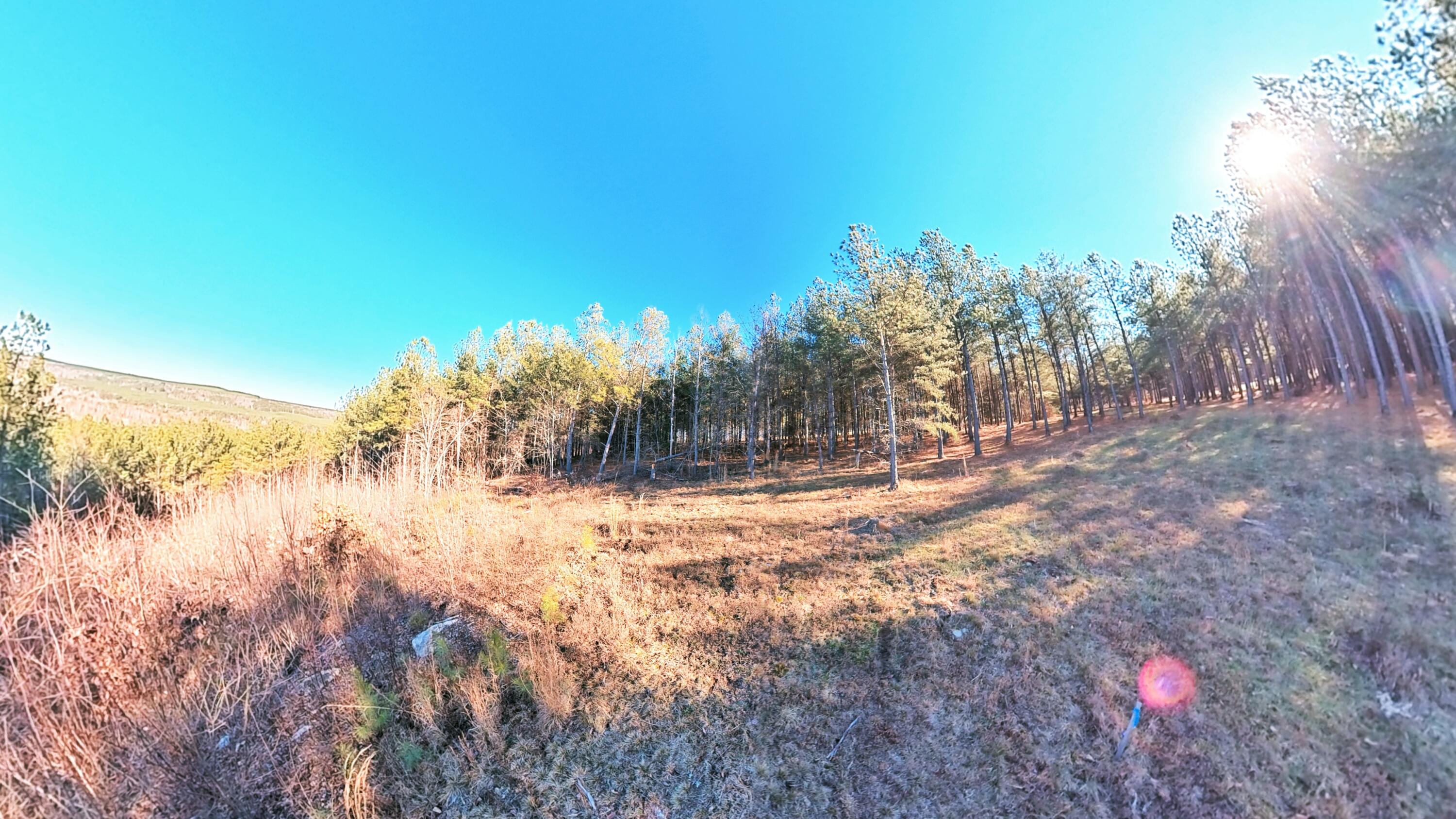 0 Three Gorges Road, Unit LOT 3 Soddy Daisy, TN 37379 - Photo 8 of 21 LOT #3