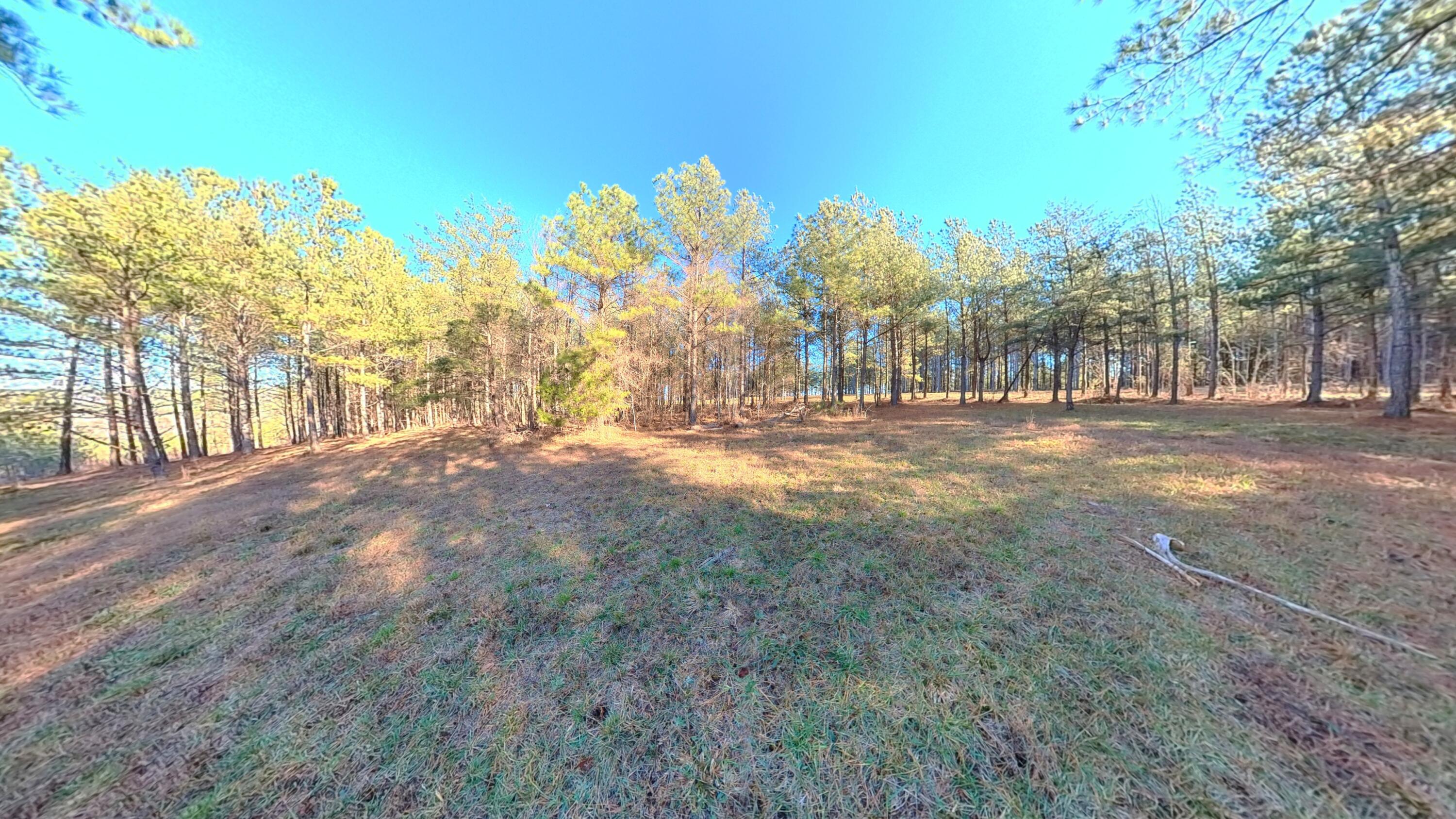 0 Three Gorges Road, Unit LOT 3 Soddy Daisy, TN 37379 - Photo 9 of 21 LOT #3
