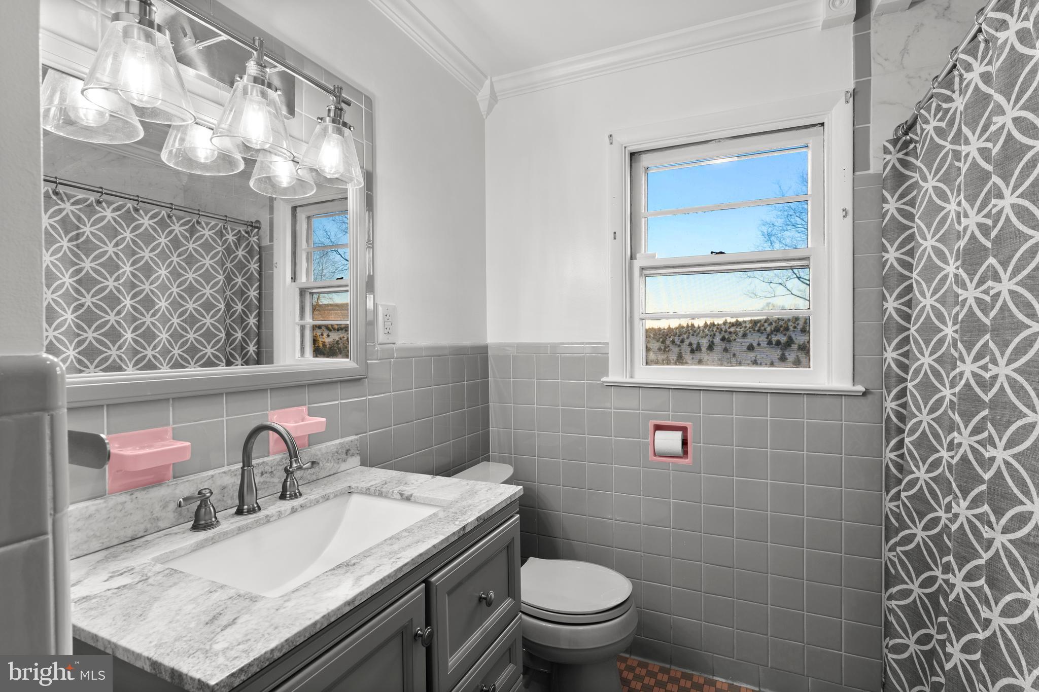 420 Stehman Church Road Millersville, PA 17551 - Photo 16 of 31 a bathroom with a sink a toilet and a mirror