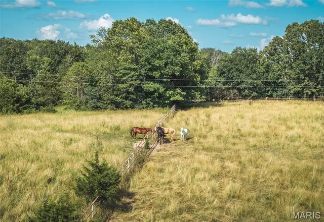 $785,000 | 15460 North Highway 68, St. James, MO 65559