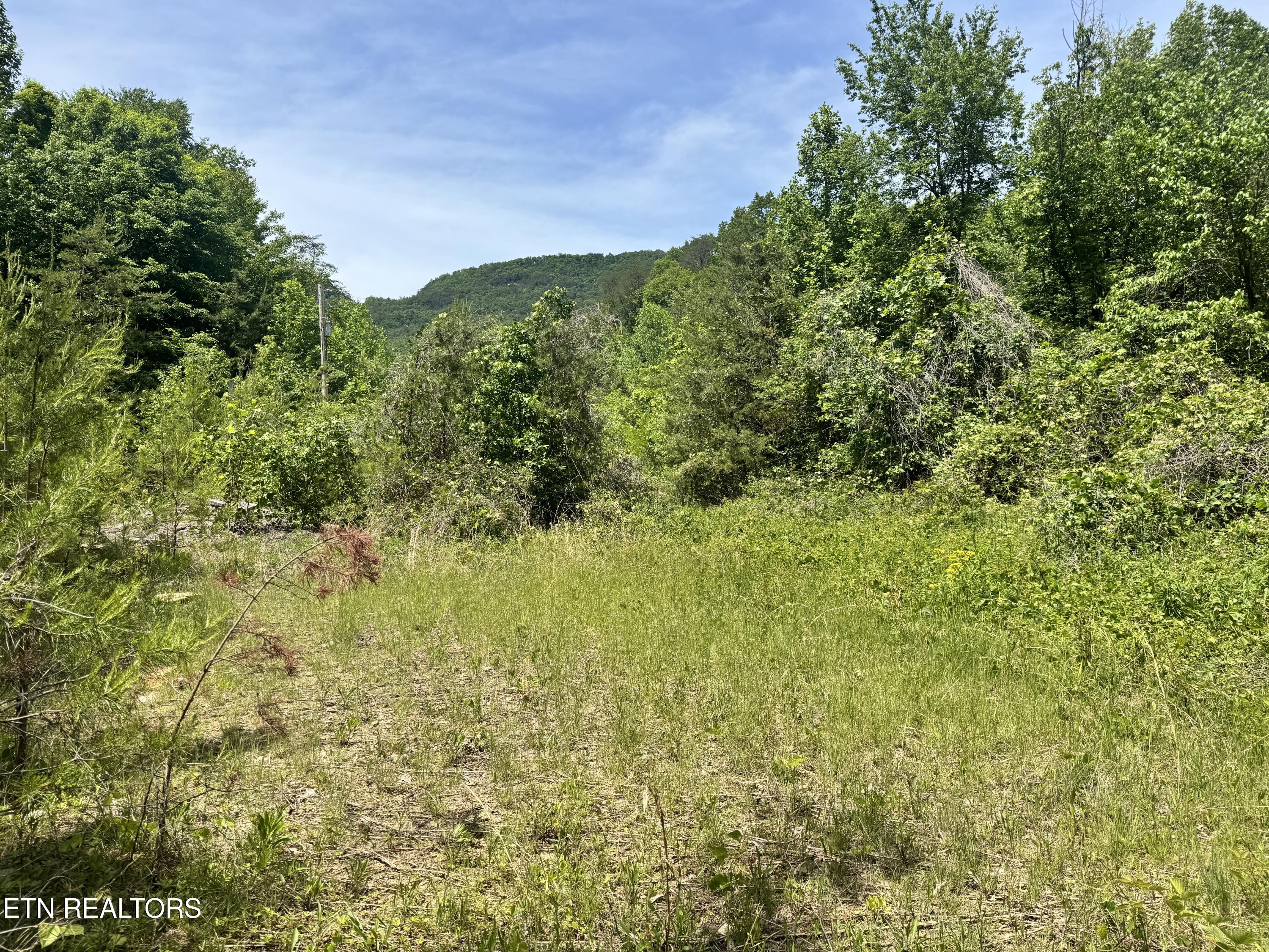955 Rock Haven Road Bean Station, TN 37708 - Photo 11 of 16 Property 3