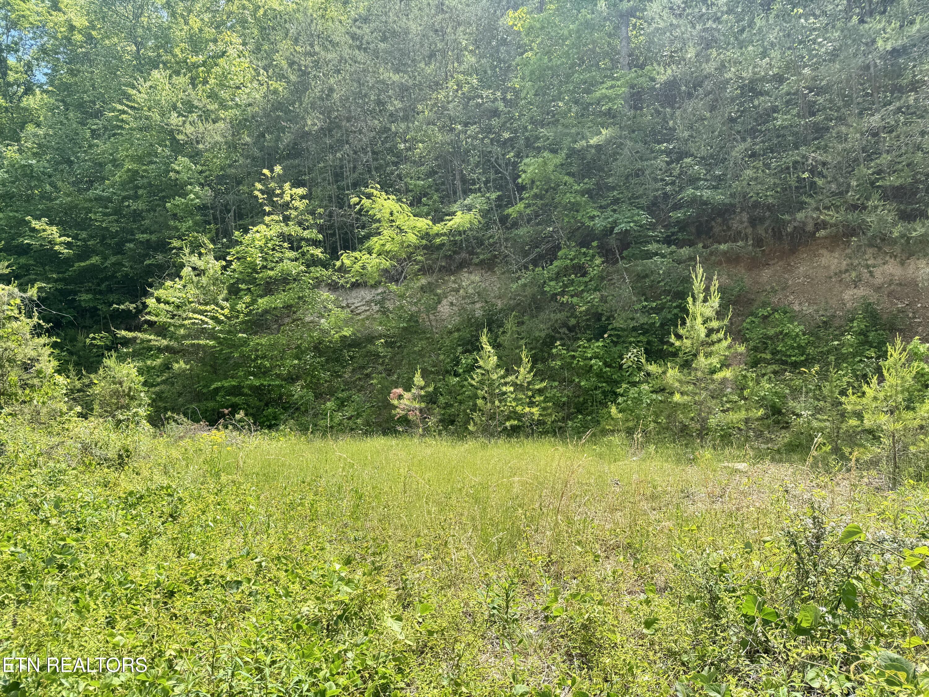 955 Rock Haven Road Bean Station, TN 37708 - Photo 12 of 16 Property 4