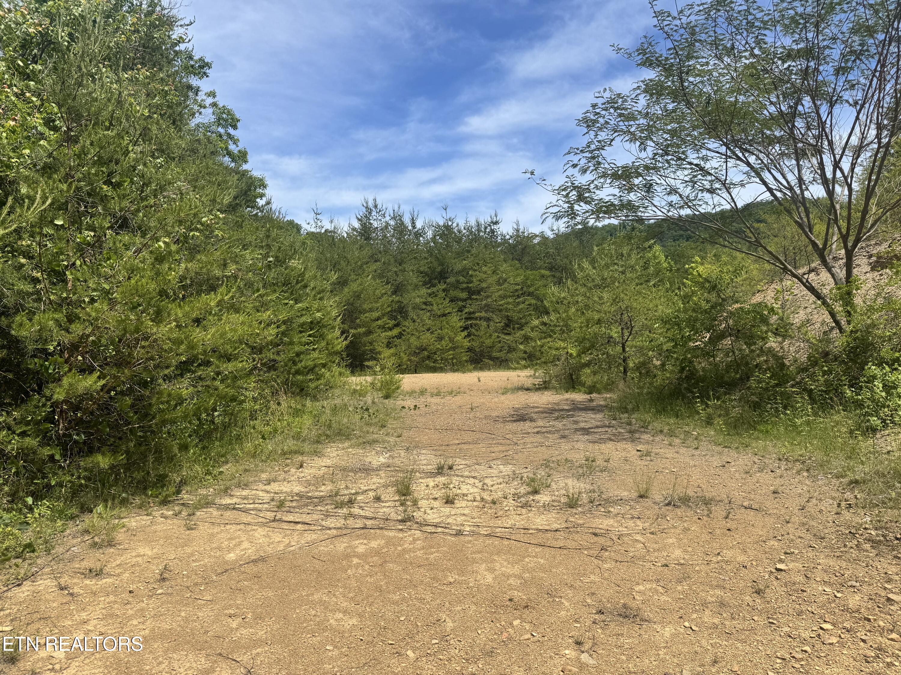 955 Rock Haven Road Bean Station, TN 37708 - Photo 15 of 16 Property 7