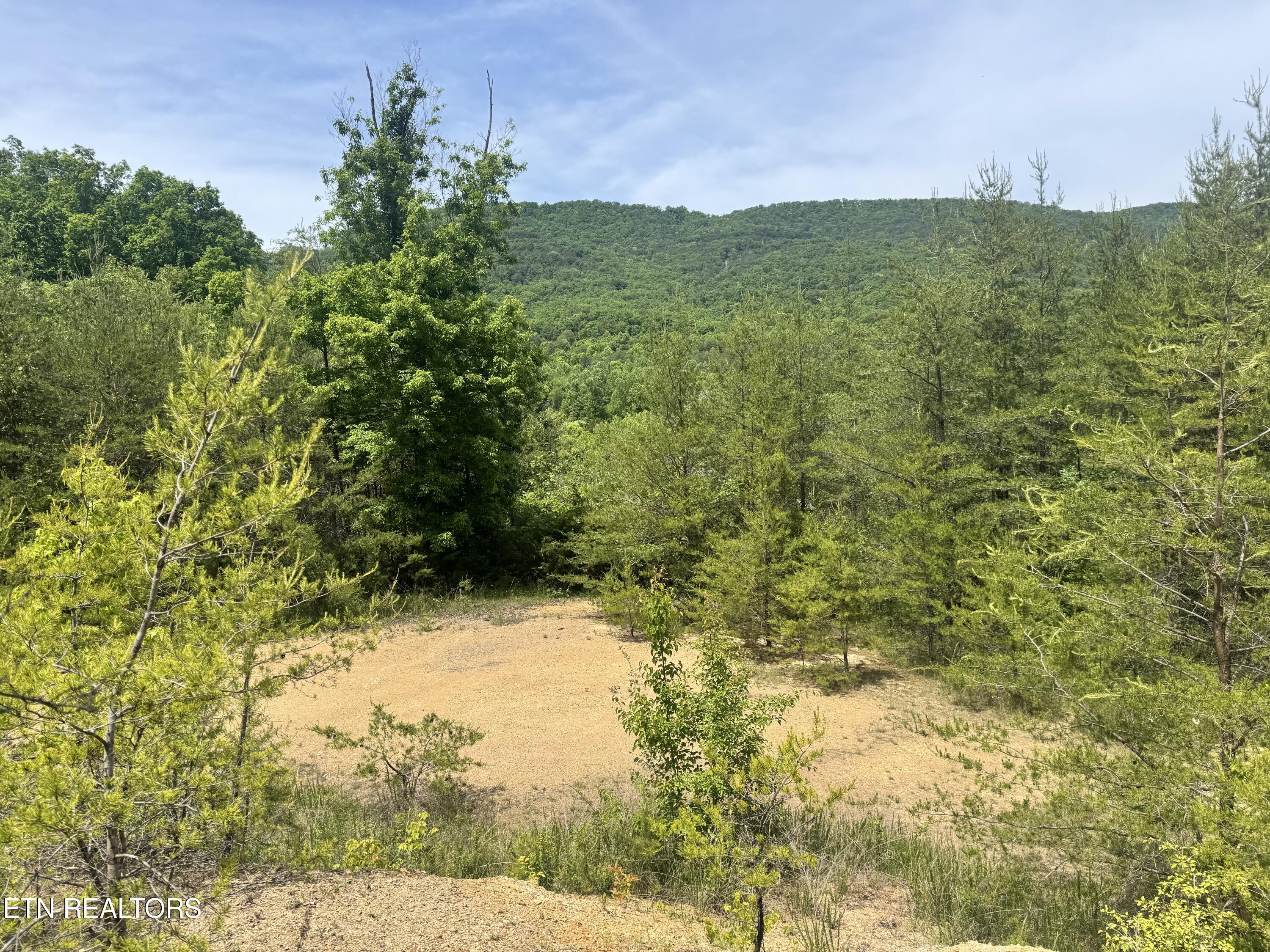 955 Rock Haven Road Bean Station, TN 37708 - Photo 16 of 16 Property 8