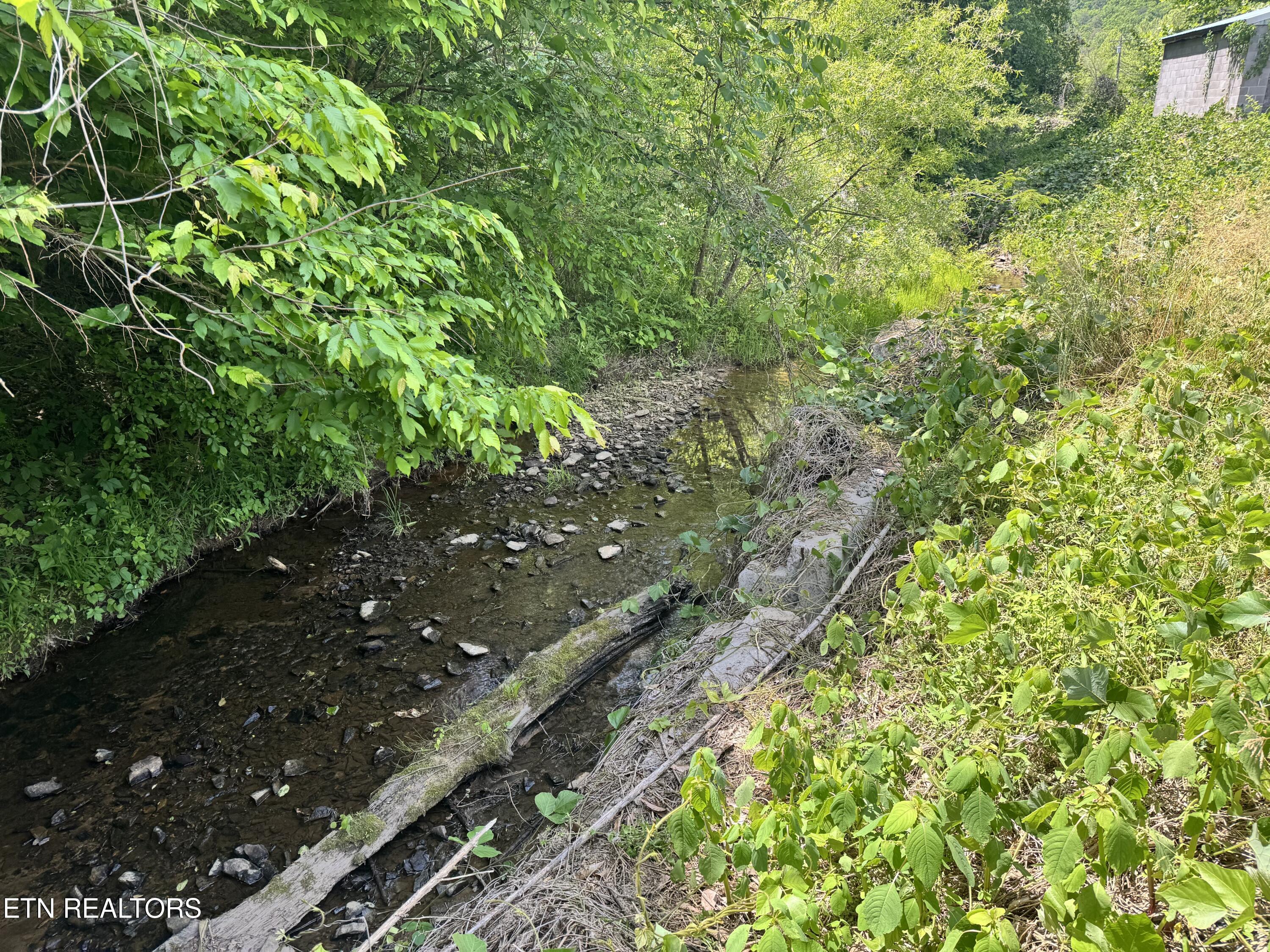 955 Rock Haven Road Bean Station, TN 37708 - Photo 5 of 16 Creek 2
