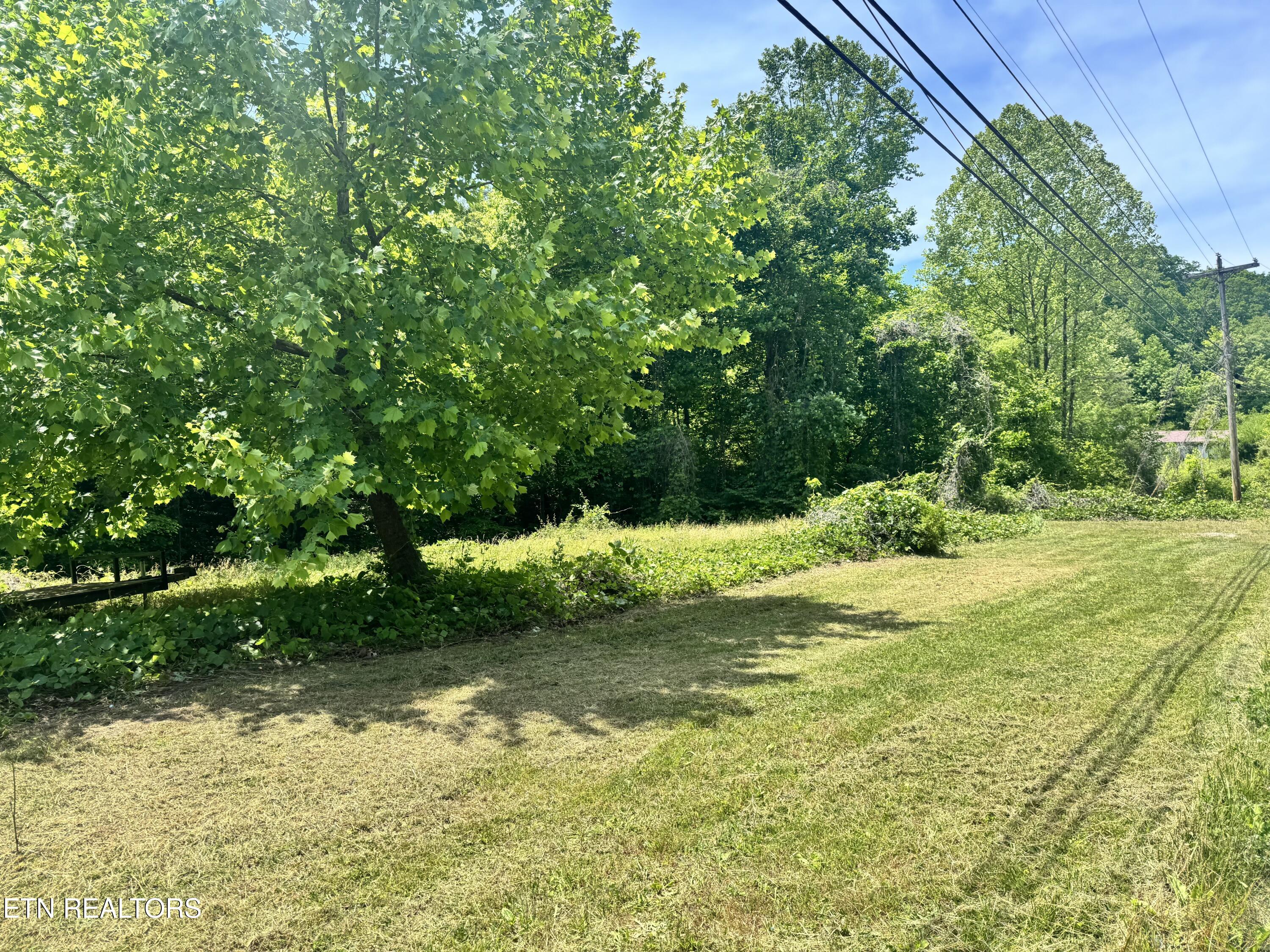 955 Rock Haven Road Bean Station, TN 37708 - Photo 7 of 16 Road Frontage