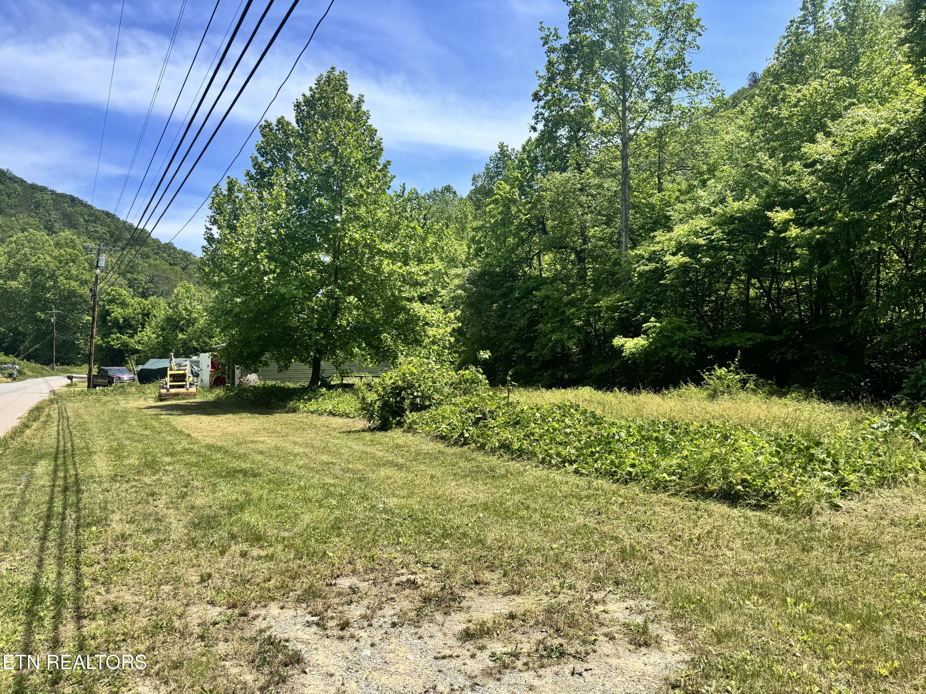 955 Rock Haven Road Bean Station, TN 37708 - Photo 8 of 16 Road Frontage 2