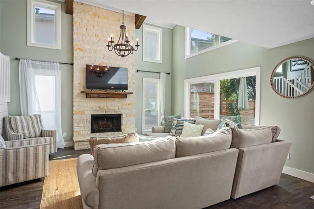 a view of a garden with plants and large trees