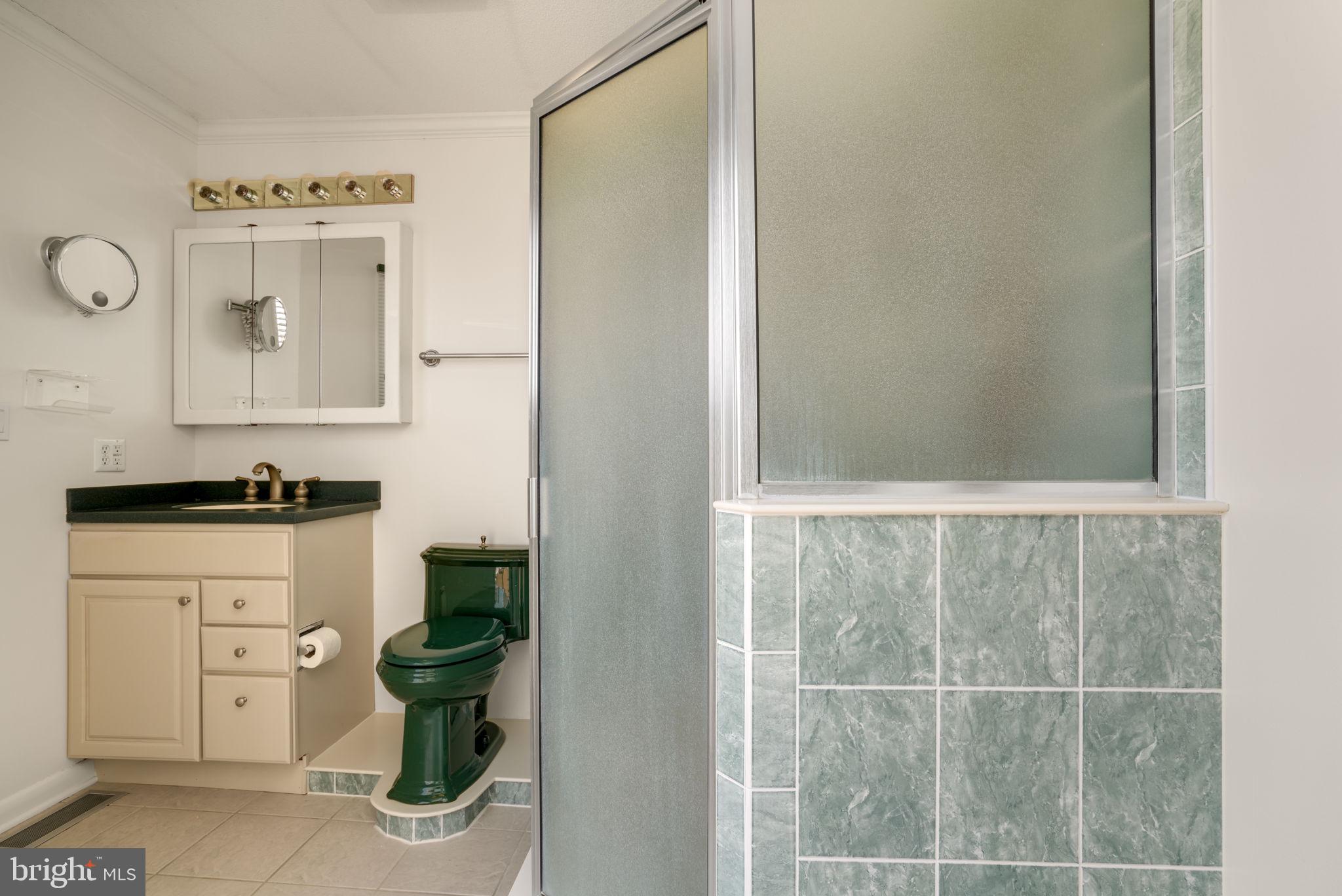 415 14th Street, Unit 55A Ocean City, MD 21842 - Photo 68 of 111