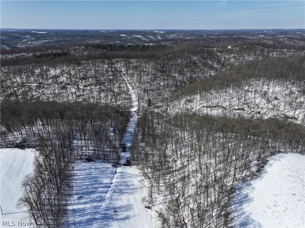 0 Tract 4 Twp Road Woodsfield, OH 43793 - Photo 15 of 34