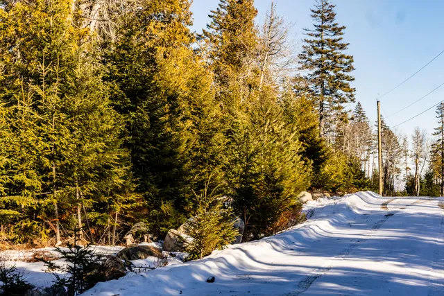 $79,000 | Lot 10-4r2 Lot 10-4r2 Pine, Surry, ME 04684