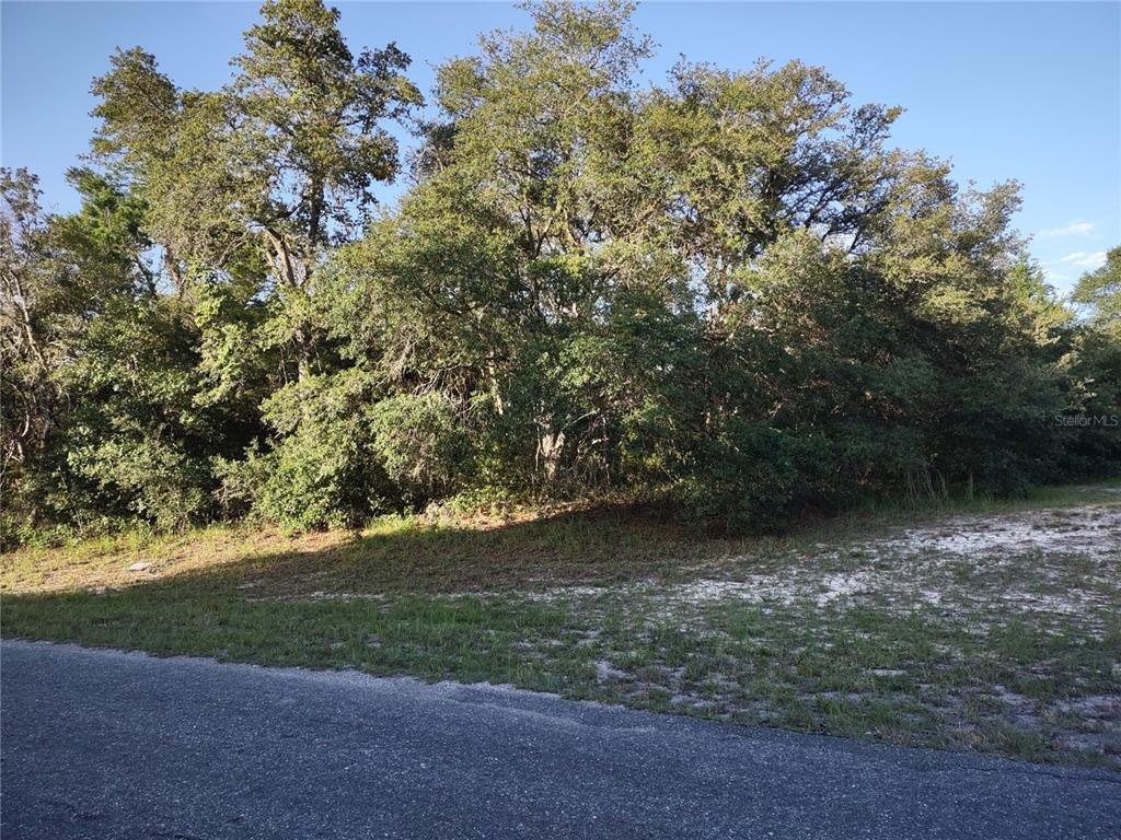 29 Southwest 29th Court Road Ocala, FL 34473 - Photo 1 of 1