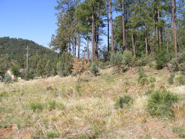 Lot 5 Fossil Creek Road Pine, AZ 85544 - Photo 7 of 8