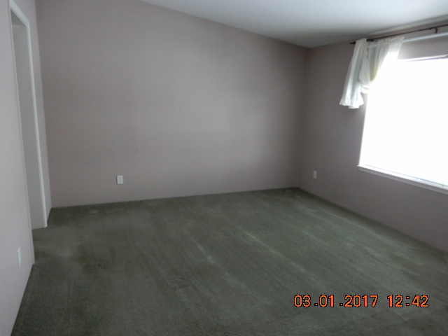 9825 East Dunn Road Chattaroy, WA 99003 - Photo 7 of 12 Gallery Image 7