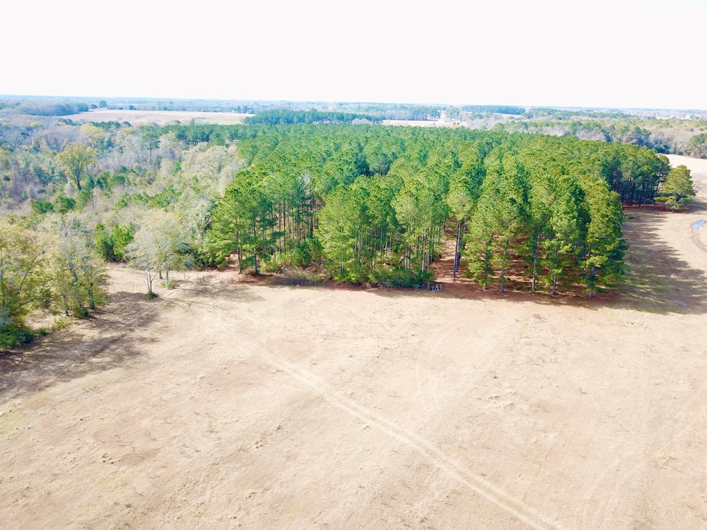 998 Sander Spur Road Slocomb, AL 36375 - Photo 50 of 69