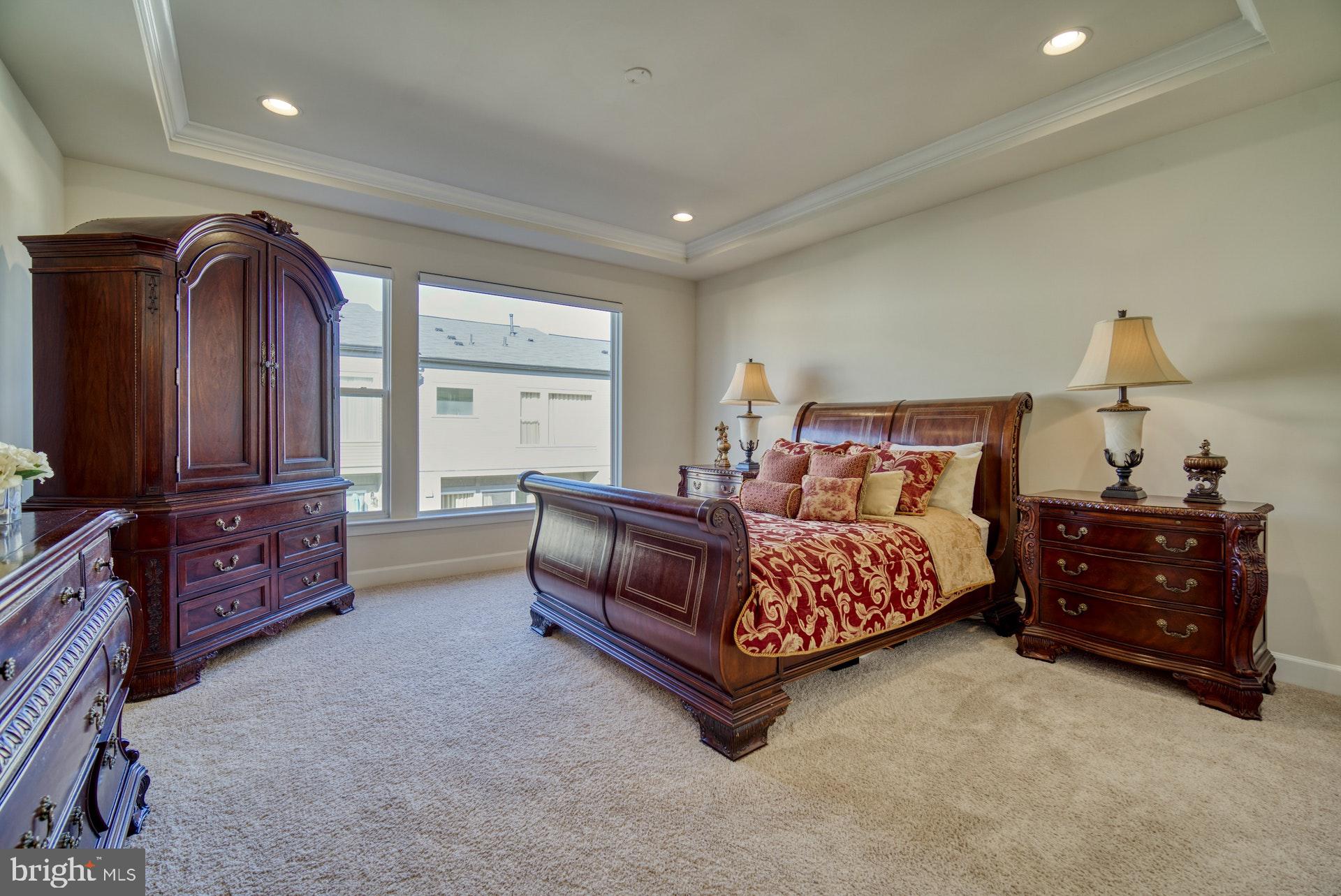 42288 Porter Ridge Terrace Brambleton, VA 20148 - Photo 13 of 30 owners bedroom with tray ceilings