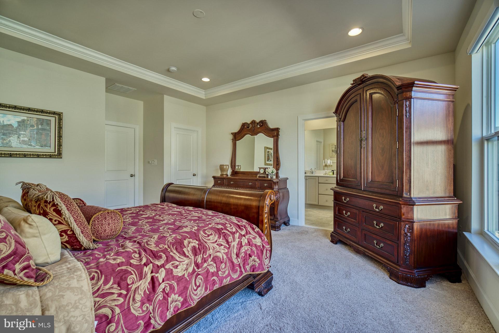 42288 Porter Ridge Terrace Brambleton, VA 20148 - Photo 15 of 30 large owners bedroom