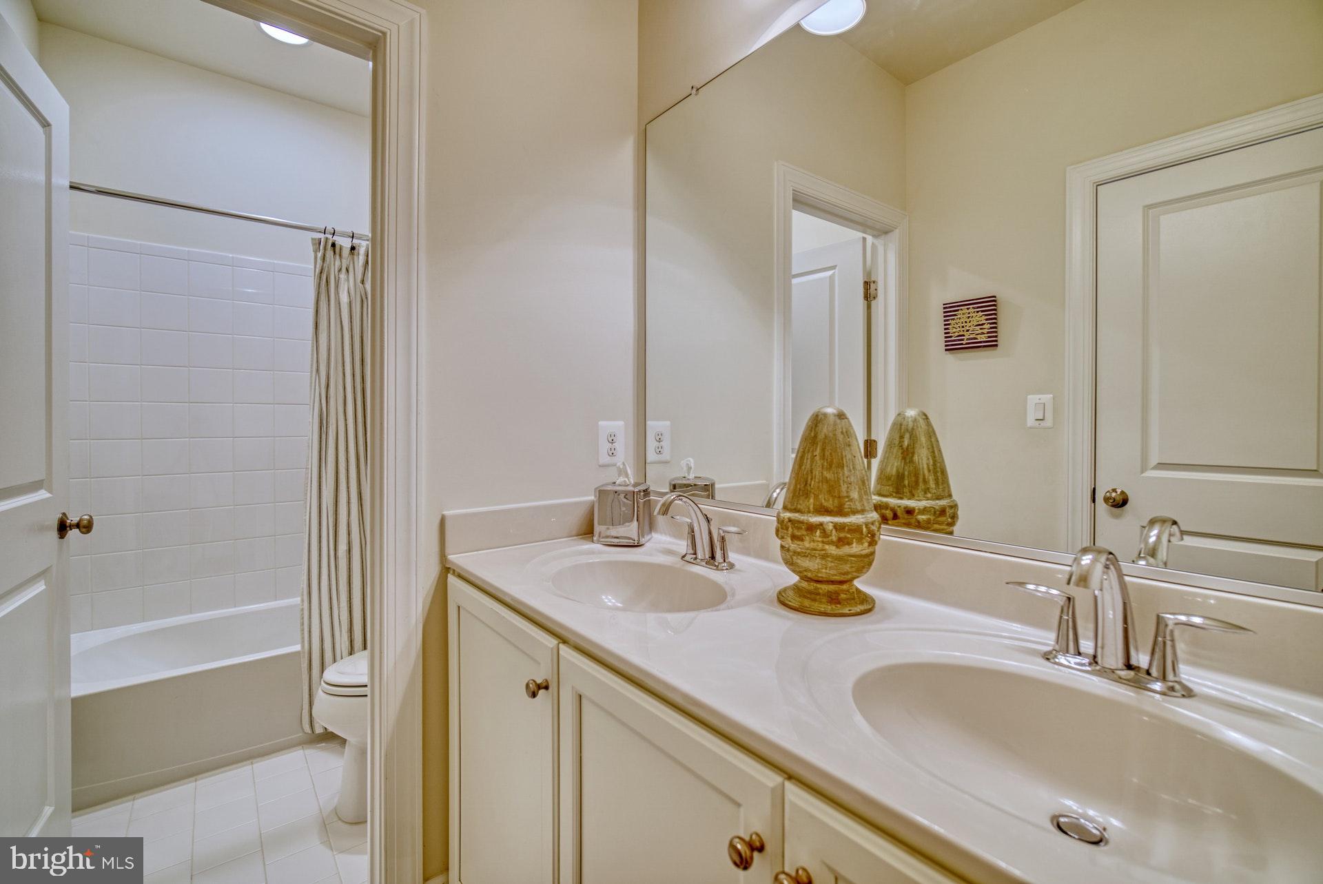 42288 Porter Ridge Terrace Brambleton, VA 20148 - Photo 19 of 30 hall bath with a double sink