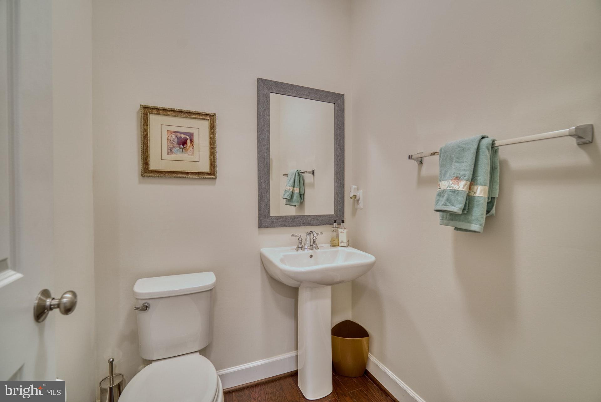 42288 Porter Ridge Terrace Brambleton, VA 20148 - Photo 24 of 30 Powder room in the lower level.