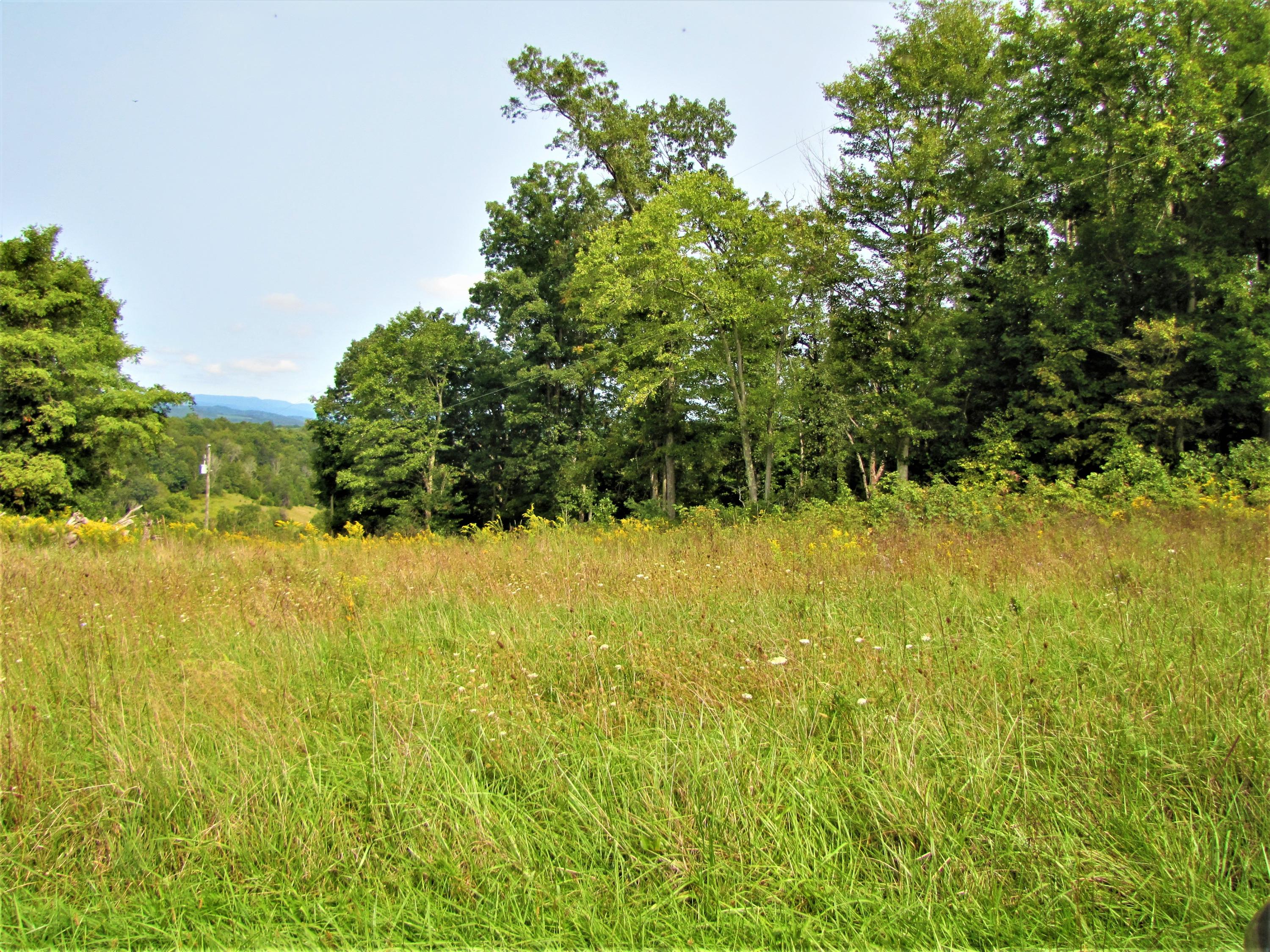 Orchard Road Ballard, WV 24918 - Photo 17 of 18 Gallery Image 17