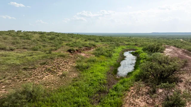 a view of a big yard