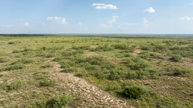 a view of a covered with green space