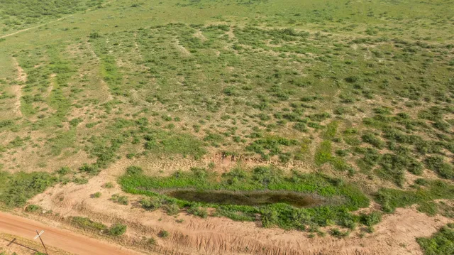 a view of a yard with pathway