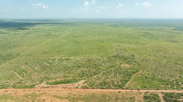 a view of a green yard