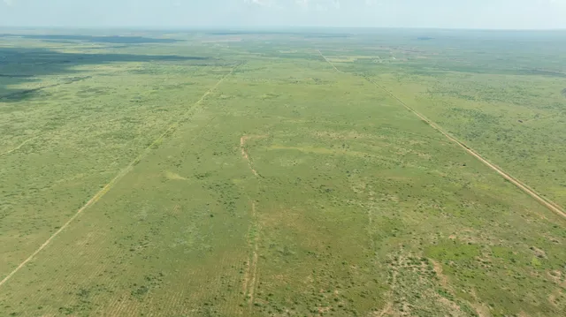 a view of a yard with an outdoor space