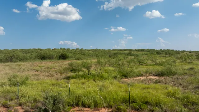 a view of an ocean and a yard