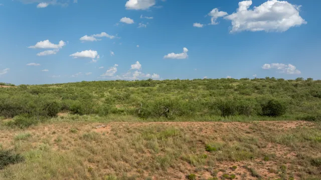 a view of yard with swimming pool and outdoor space