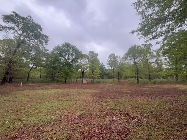 3659 McCords Ferry Road Eastover, SC 29044 - Photo 15 of 17