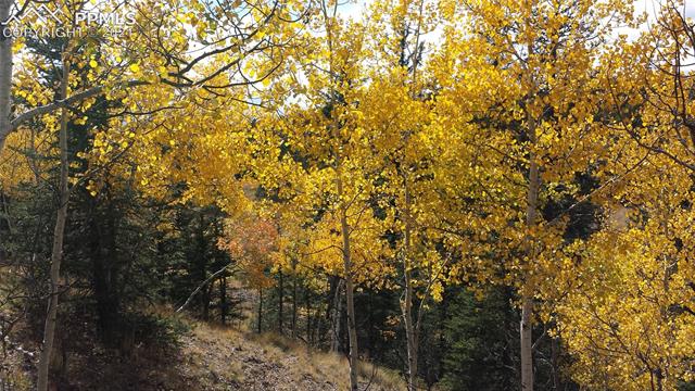 2130 Pathfinder Road Florissant, CO 80816 - Photo 14 of 32 Gallery Image 14