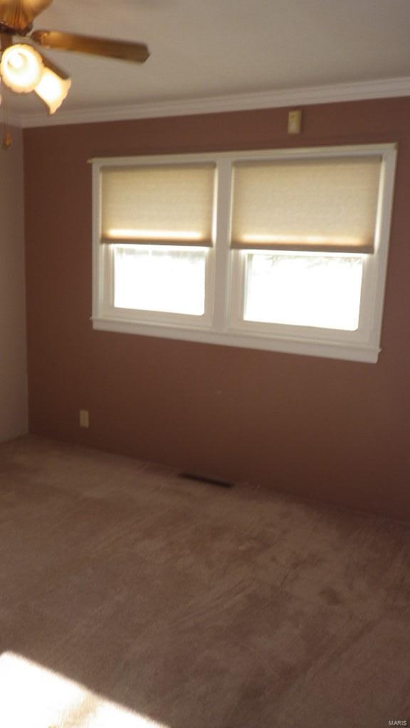435 Sylvan Springs Road St. Louis, MO 63125 - Photo 8 of 23
