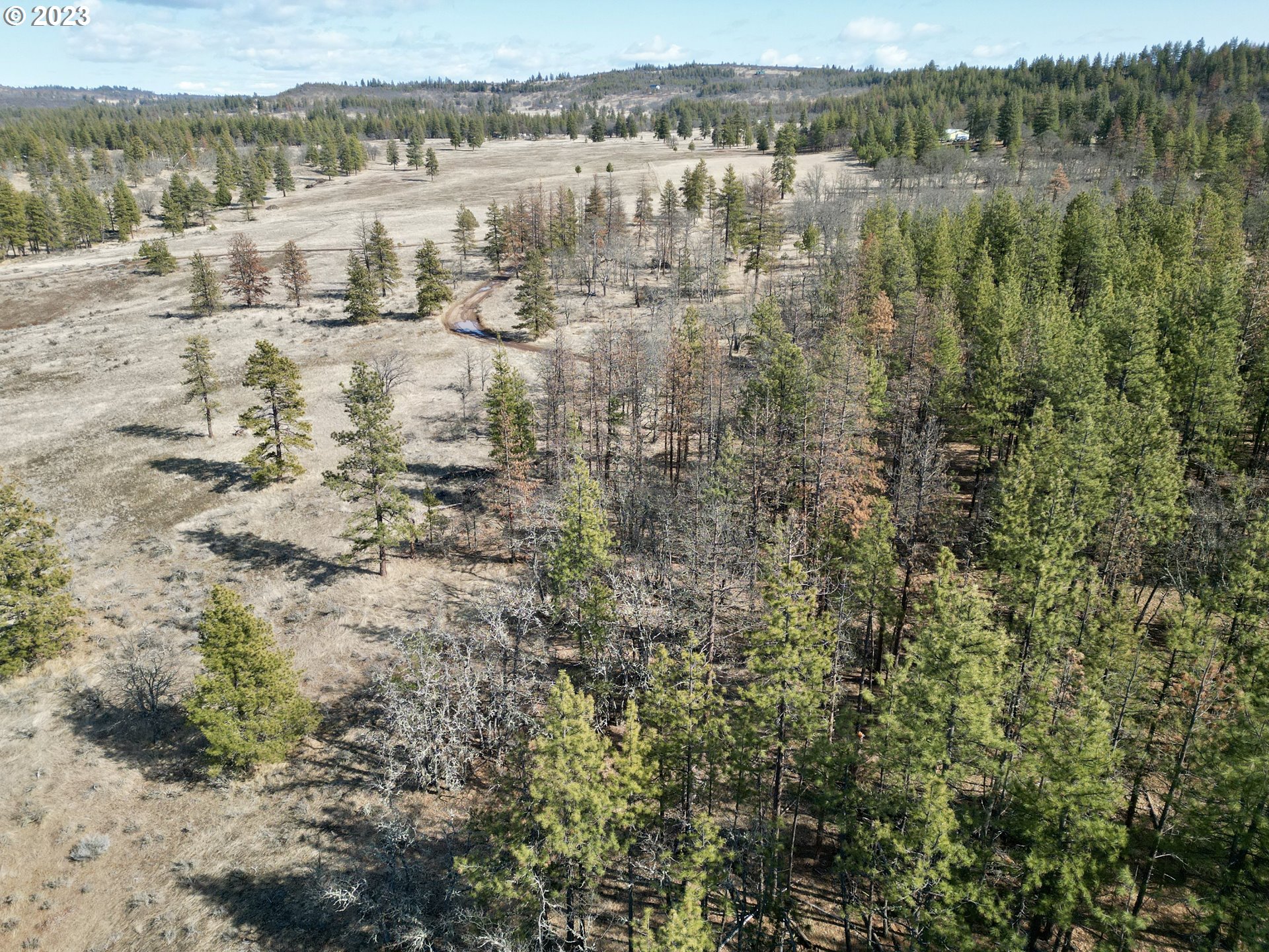 601 Chambers Road Goldendale, WA 98620 - Photo 17 of 28 Gallery Image 17