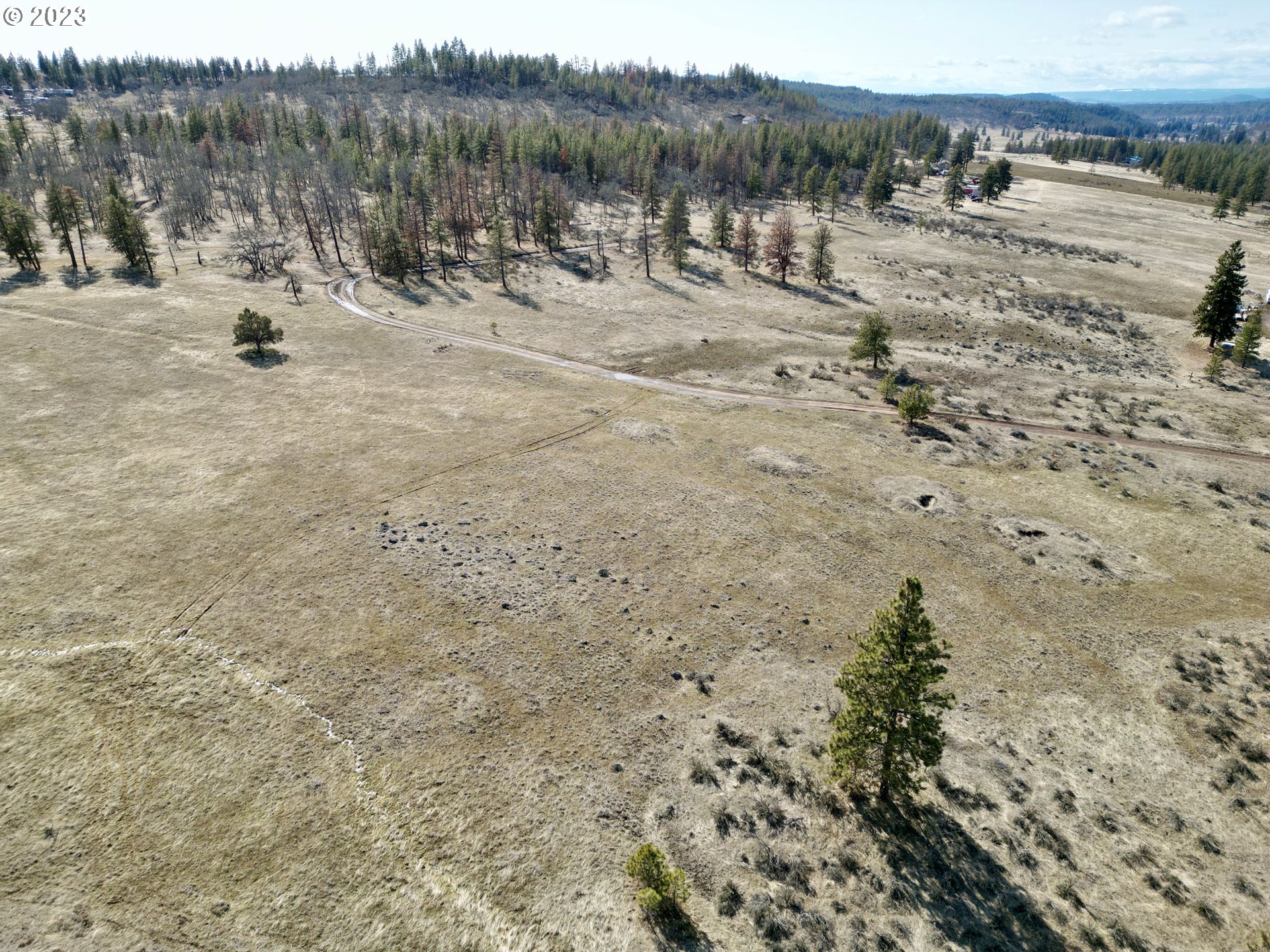 601 Chambers Road Goldendale, WA 98620 - Photo 6 of 28 Gallery Image 6