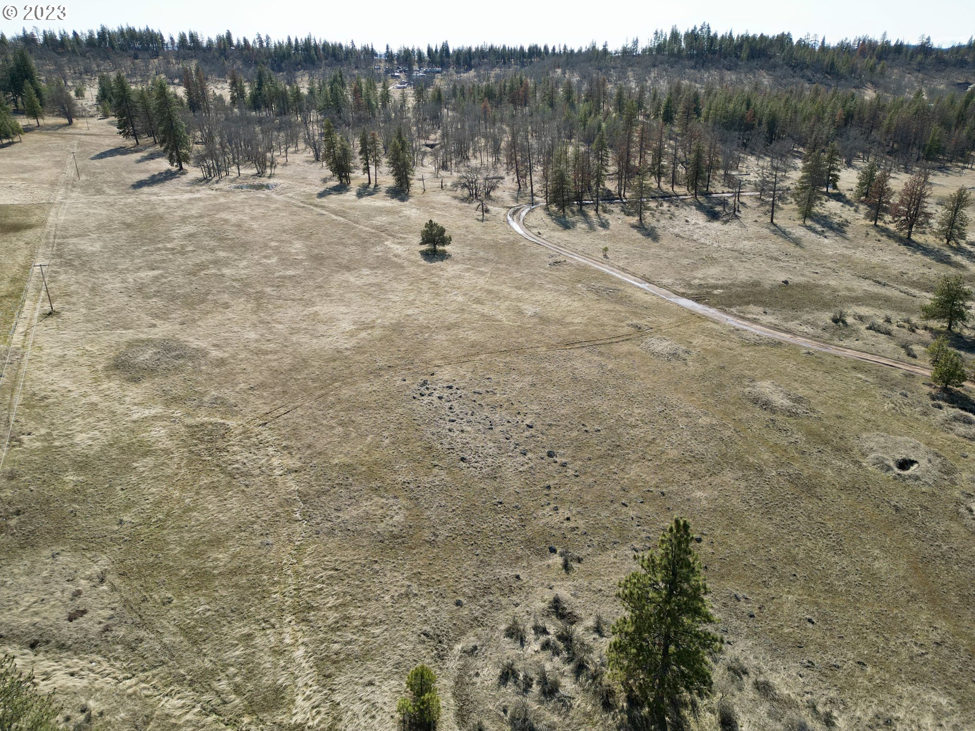 601 Chambers Road Goldendale, WA 98620 - Photo 7 of 28 Gallery Image 7